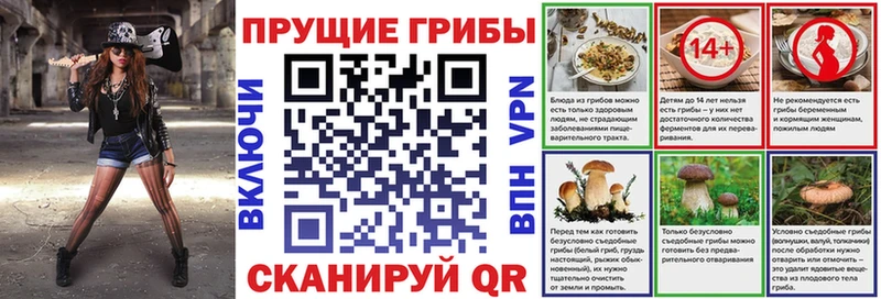 Галлюциногенные грибы мухоморы  Купить закладки  Гурьевск 