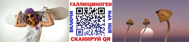 Галлюциногенные грибы Psilocybe Гурьевск